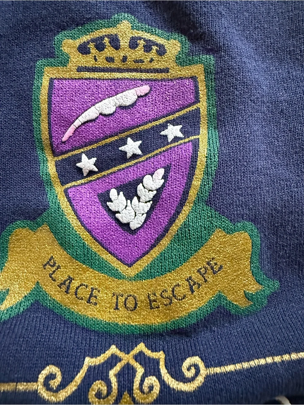 Vintage 90s Hanes Monterey California Crewneck L